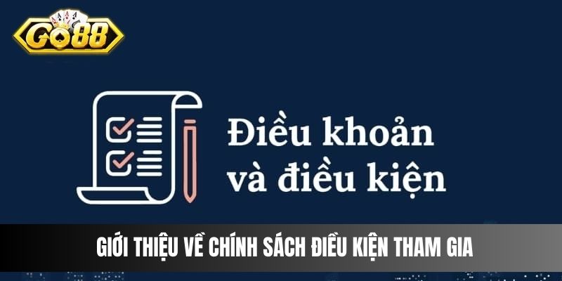 Giới thiệu về chính sách điều kiện tham gia